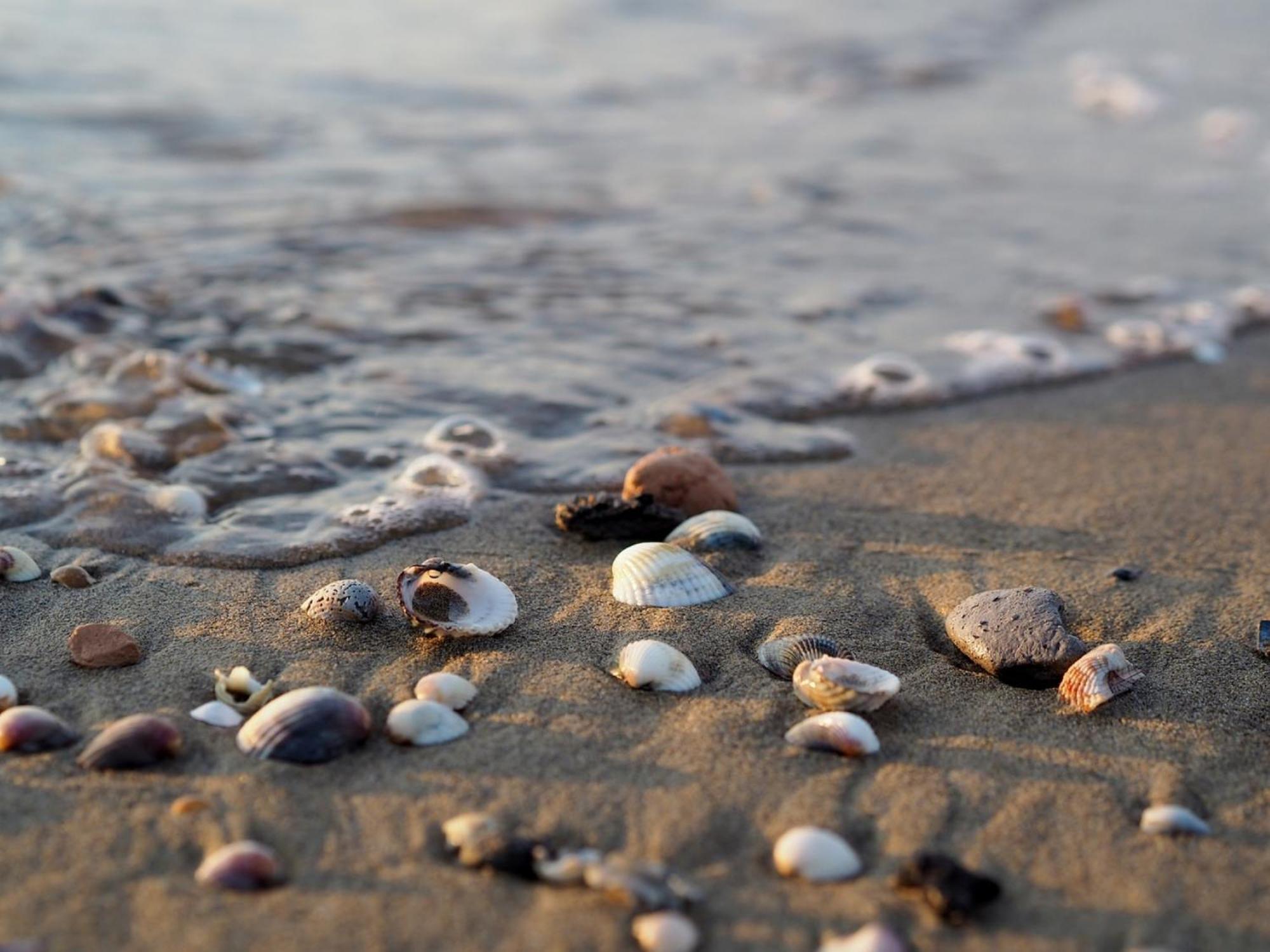 Calm Perfect For Up To 4 Guests Apartment Bibione
